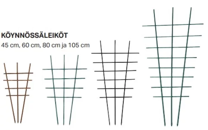 Koynnossaleikot.webp