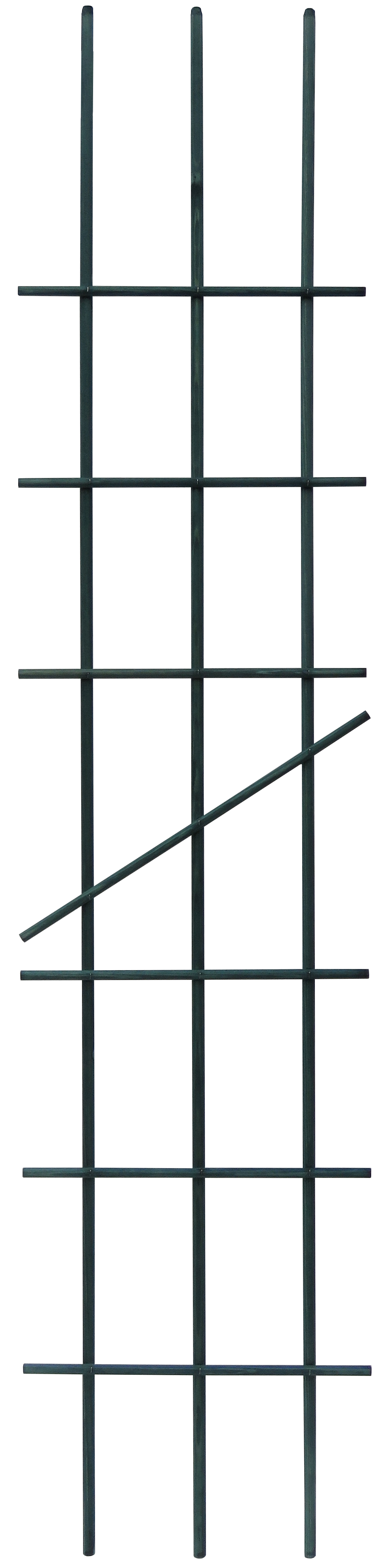 Vihreä kukkatuki.jpg